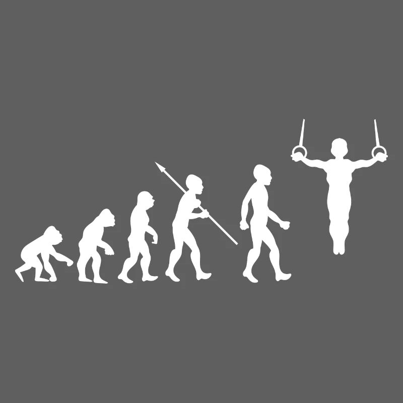 Evolution Gymnastics Gymnastics Acrobatics Gymnastics