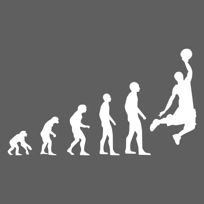 Evolution du basket