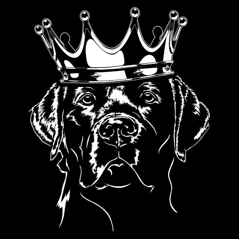 LABRADOR RETRIEVER Labbi Crown Dogs Wilsigns