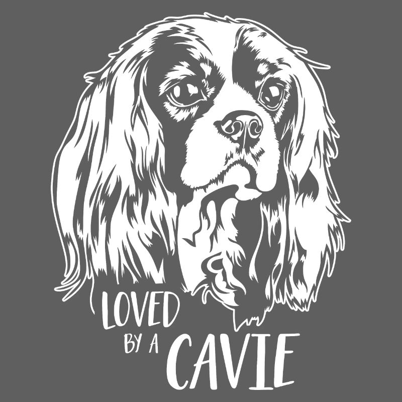 Cavalier King Charles Spaniel loved by a Cavie