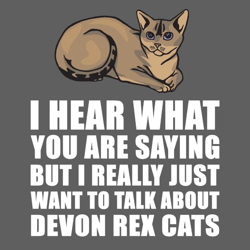 Devon Rex Cat cadeau mignon