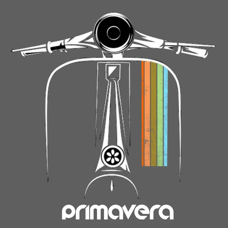 Motorroller Roller Primavera