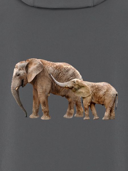Elefant
