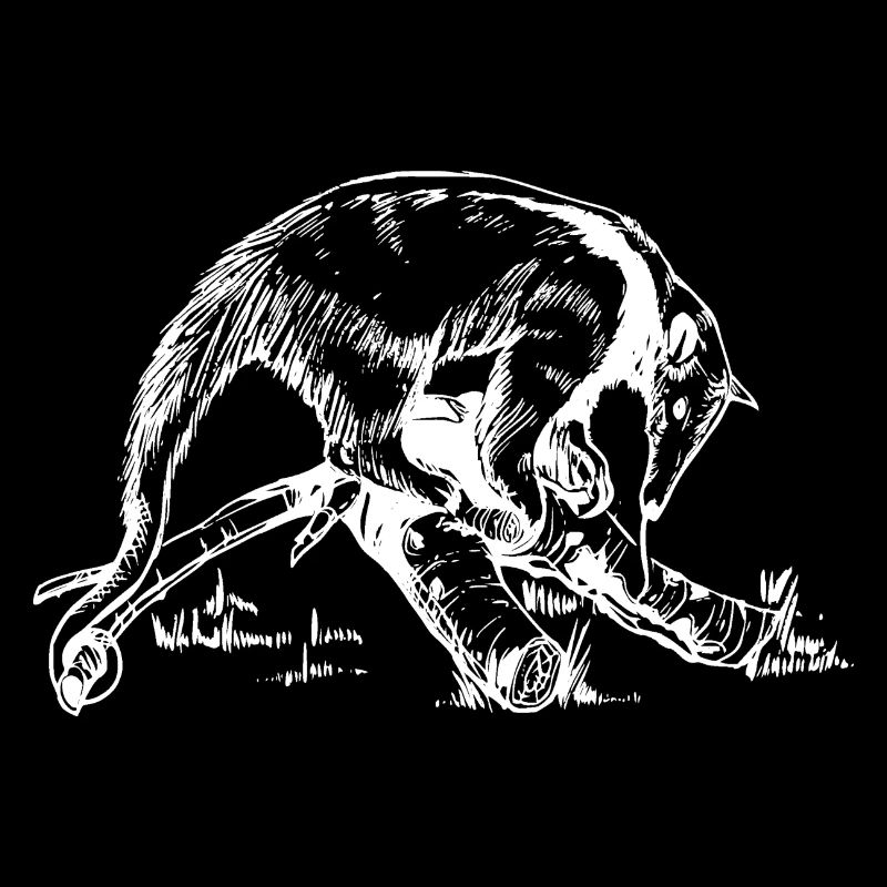 Fourmilier blanc / noir