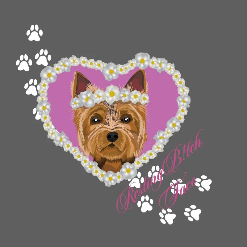 Resting B!tch Face Yorksire Terrier