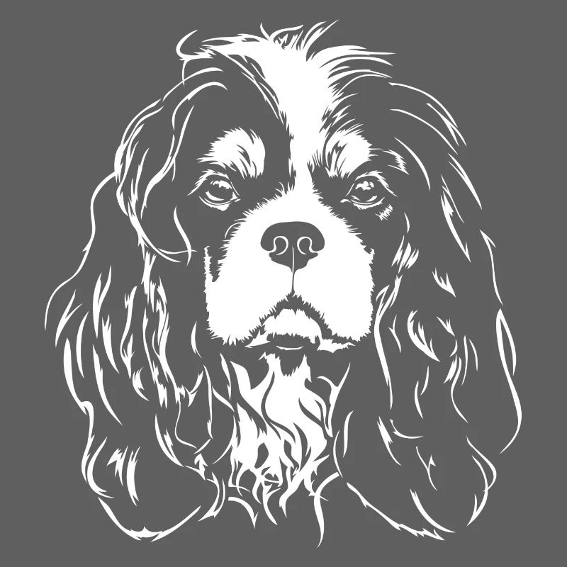 CAVALIER KING CHARLES SPANIEL Chiens Chiens Wilsigns