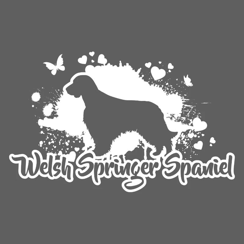 WELSH SPRINGER SPANIEL Race de chien Chiens Wilsigns