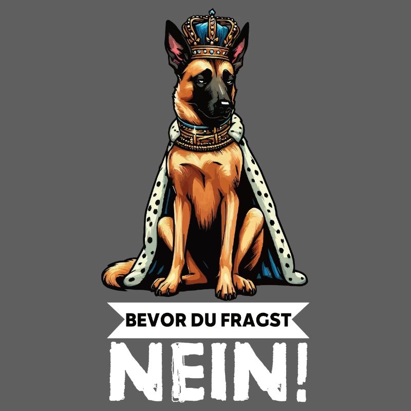 Before you ask: Malinois Belgian Shepherd