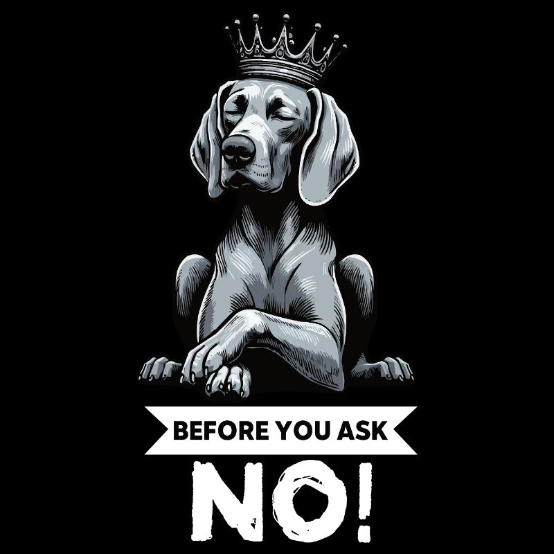 Before You Ask Weimaraner Weimaraner Lovers