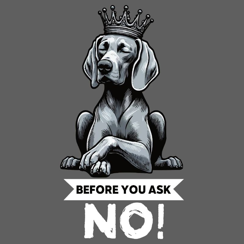 Before You Ask Weimaraner Weimaraner Lovers