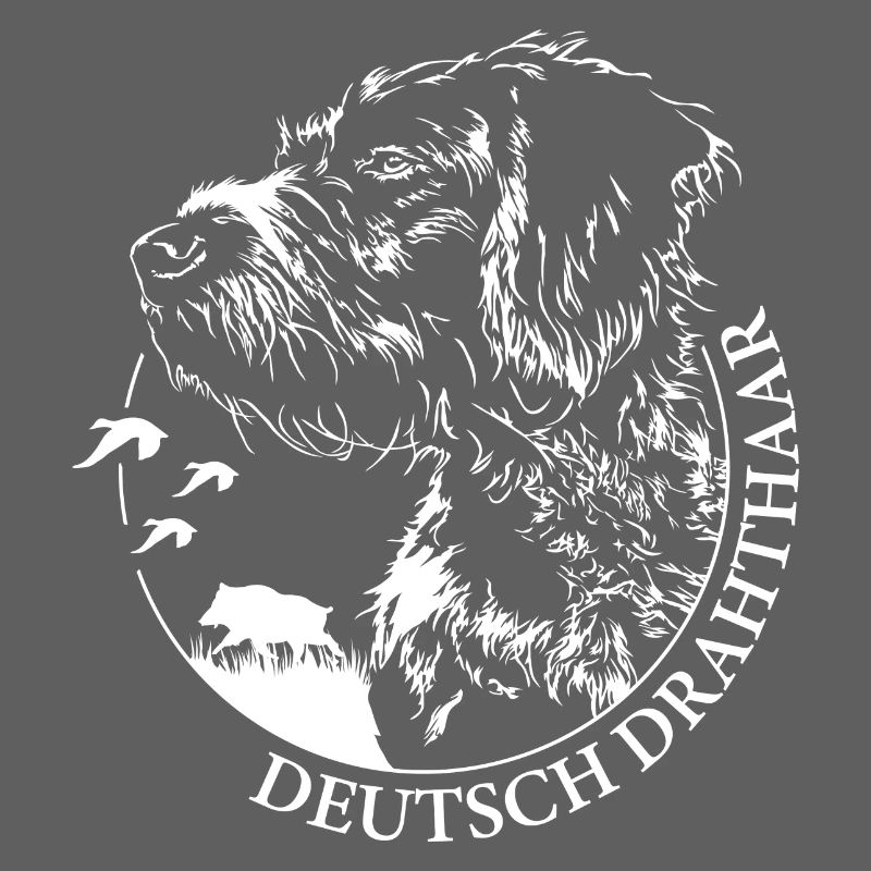 DEUTSCH DRAHTHAAR Wilsigns Jagdhund Jagdhunde
