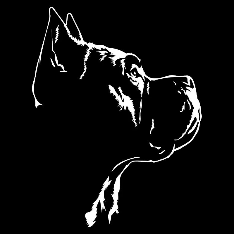 Cane Corso Hund Hunde Wilsigns