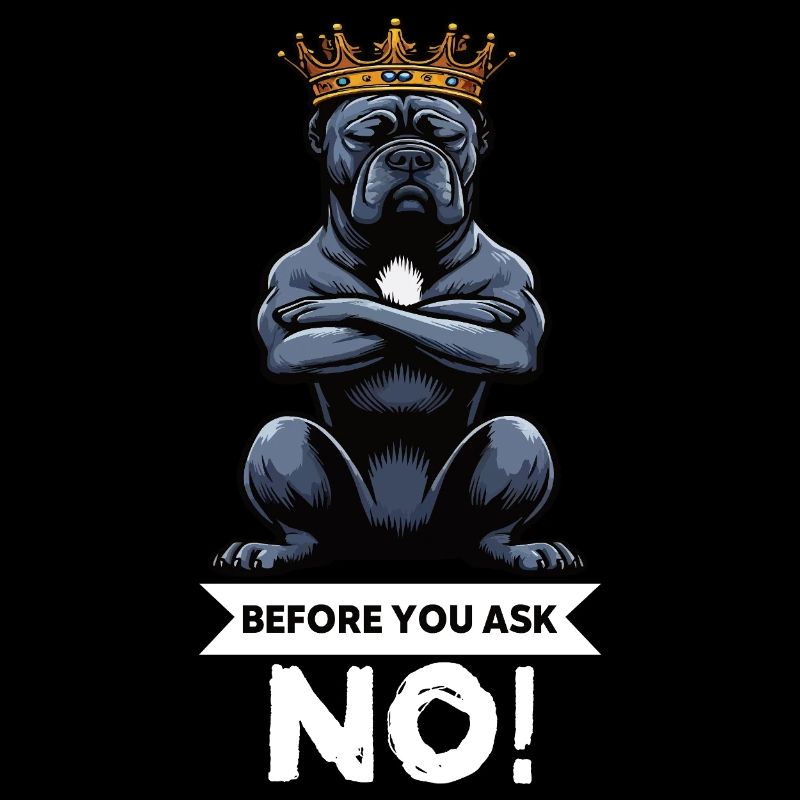 Before You Ask Cane Corso Cane Corsos Corso halter