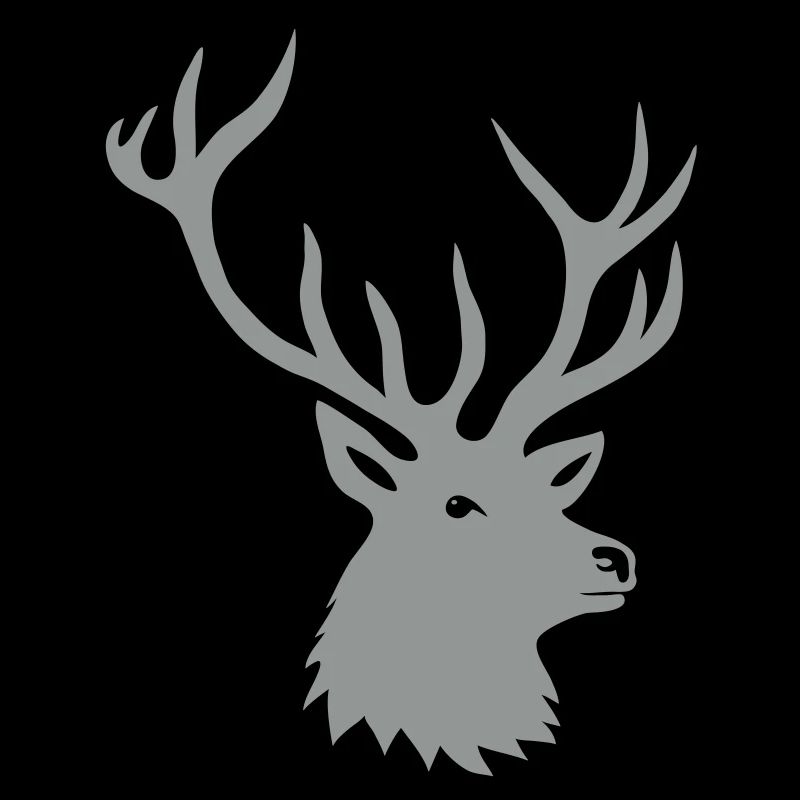hirsch geweih hirschkopf stag night brunft buck