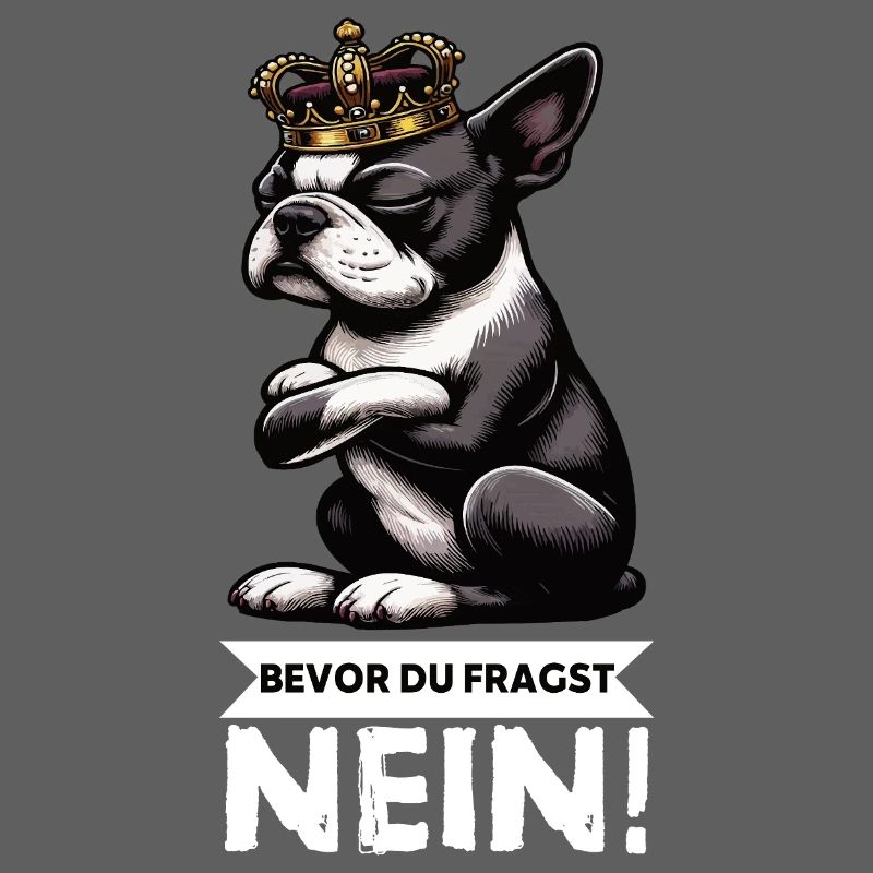 Before You Ask Boston Boston Terrier Bostie Bosti