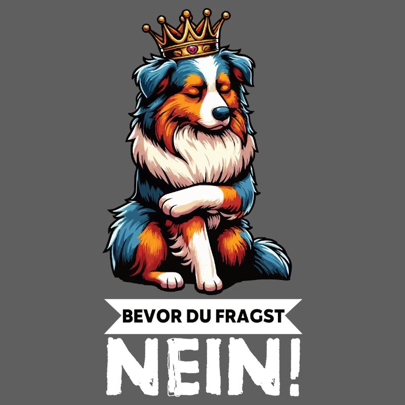 Bevor Du Fragst Australian Shepherd Aussie Aussie