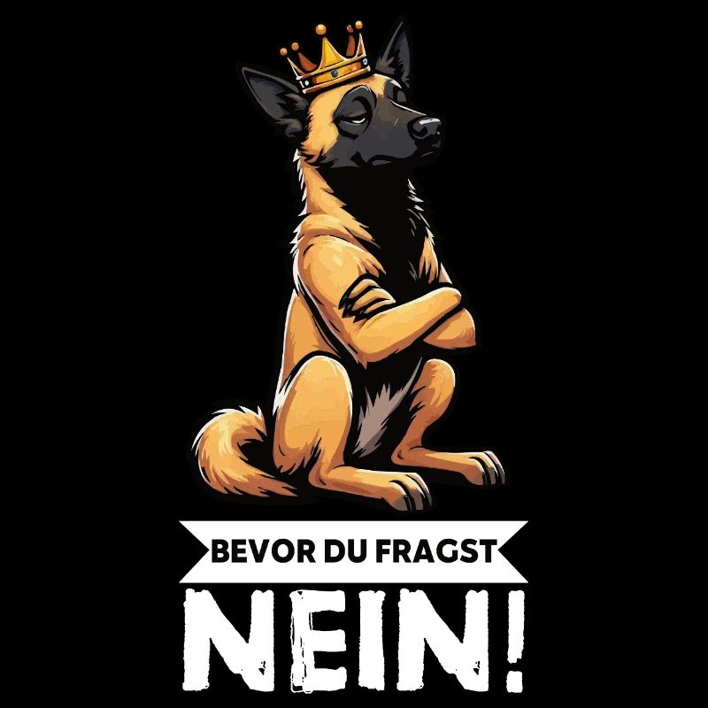 Before you ask: Malinois Belgian Shepherd
