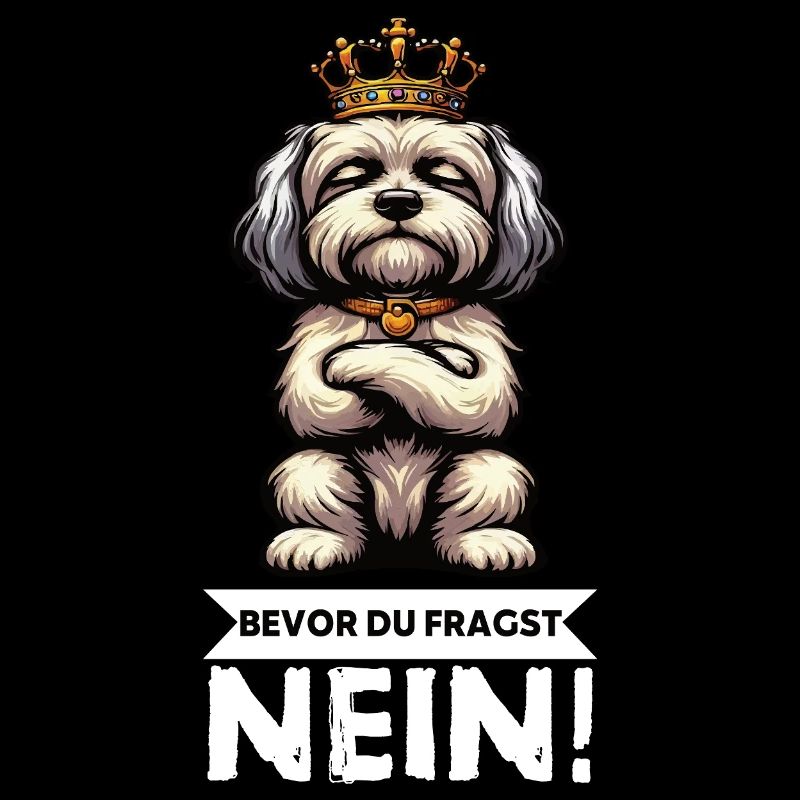 Before you ask No Havanese Havanese owners