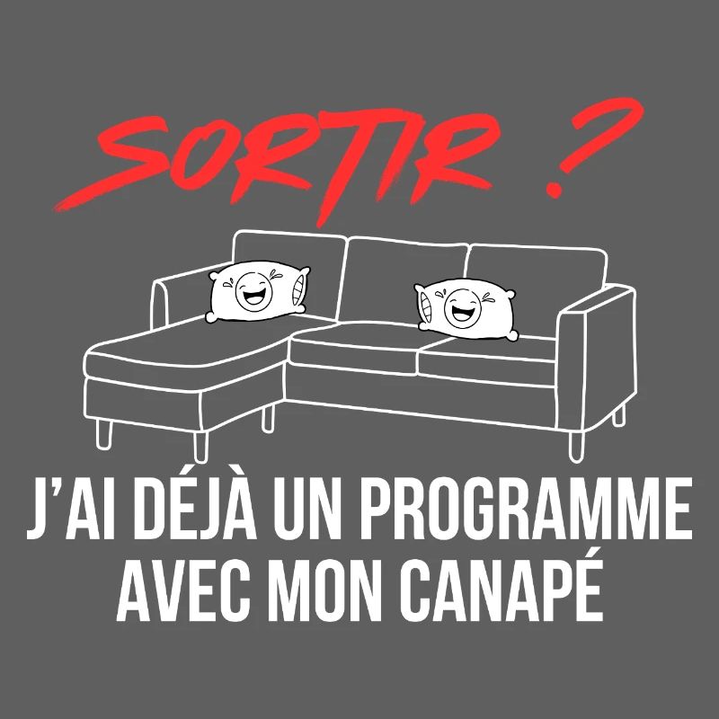 J ai déjà un programme avec mon canapé