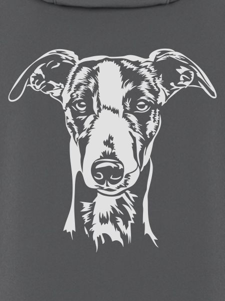 Whippet