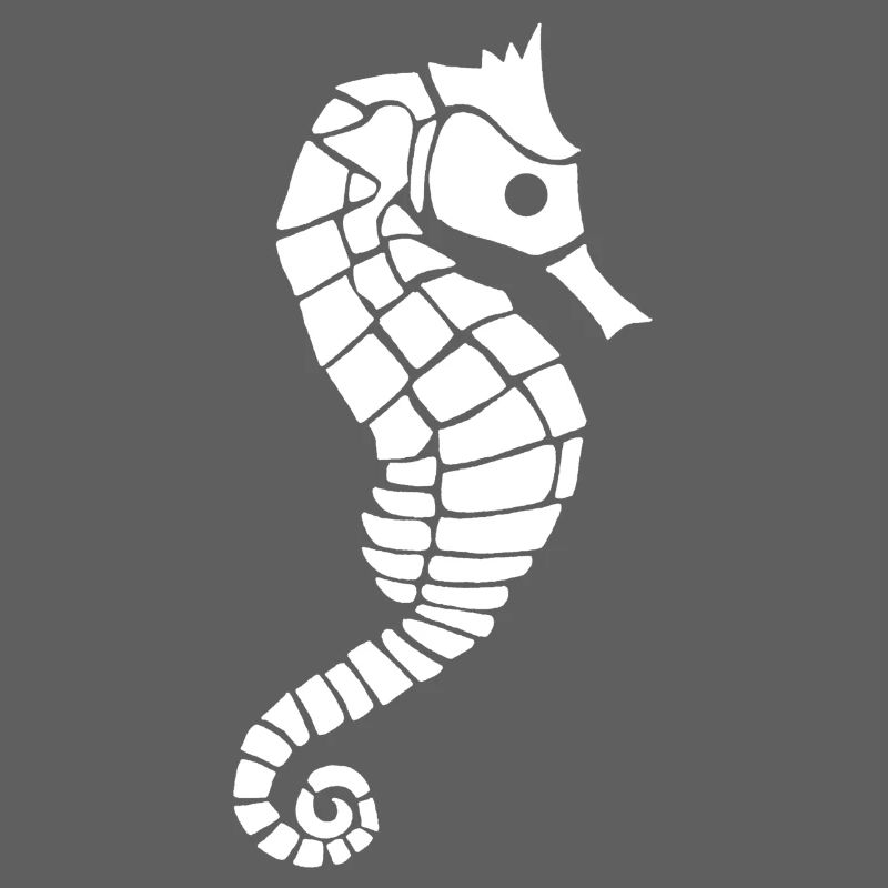 Hippocampe blanc