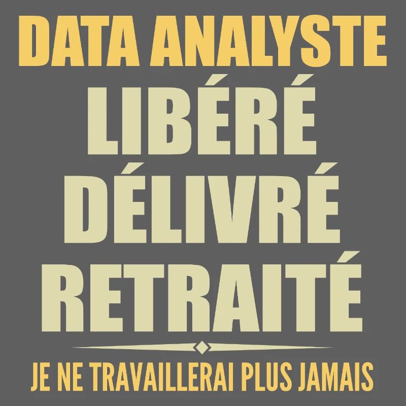 Data Analyste célèbre sa retraite avec humour