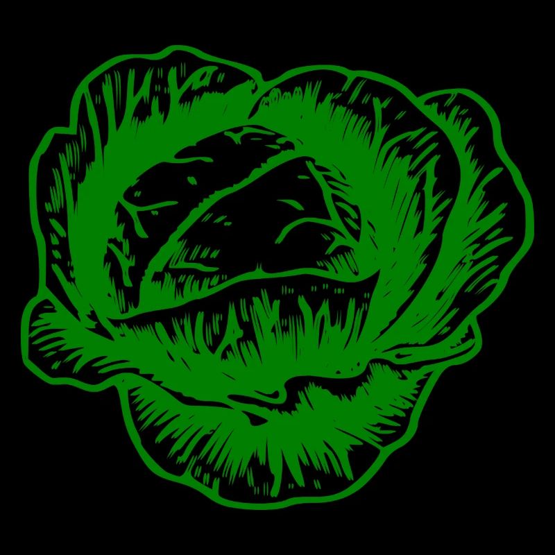 cabbage red cabbage white cabbage cabbage kale veggie gemuese