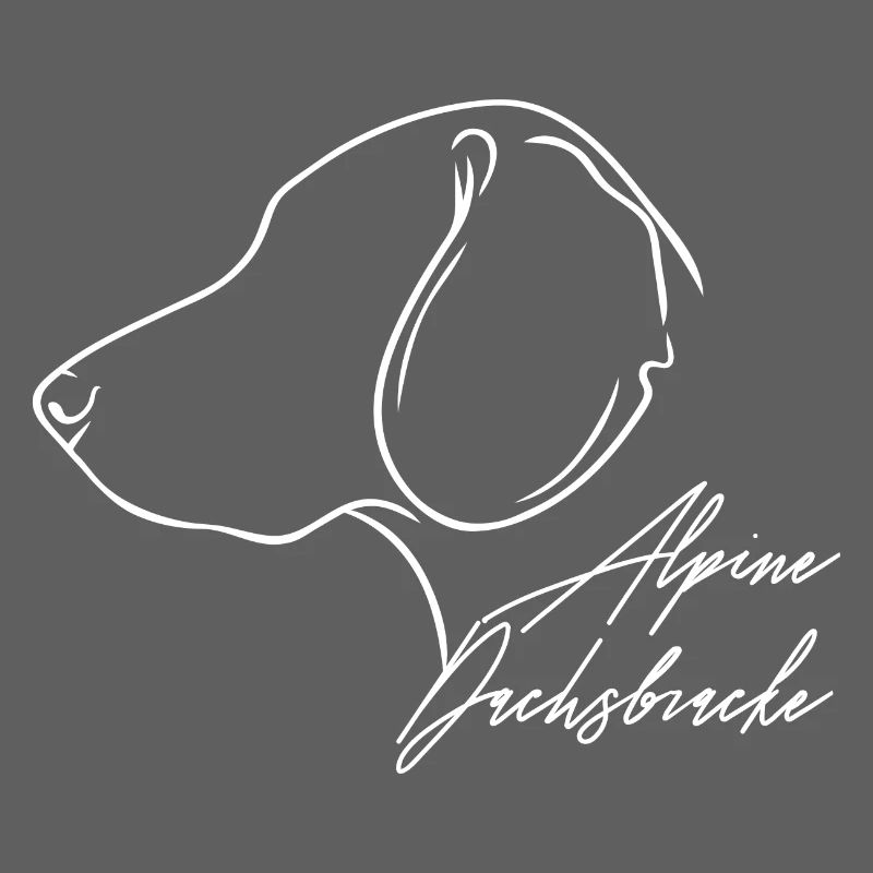 Alpine Dachsbracke Profil Chiens Chien Wilsigns