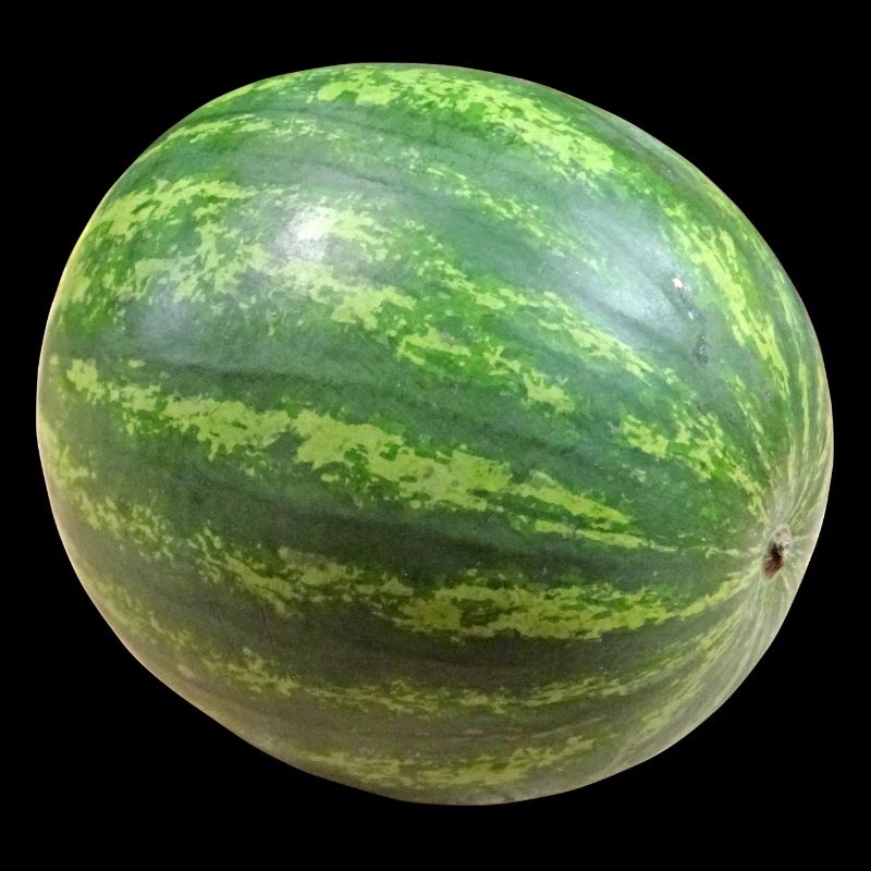 veggie pastèque pastèque melon melon gemues