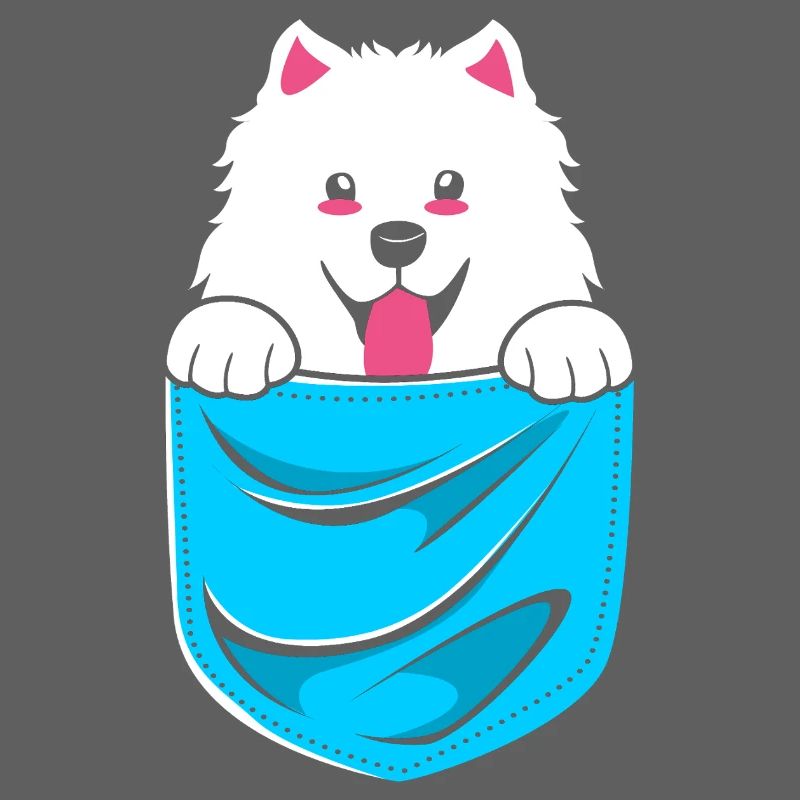 Samoyed