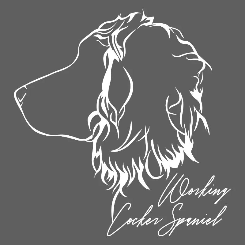 WORKING COCKER SPANIEL Profil Hunde Hund Wilsigns