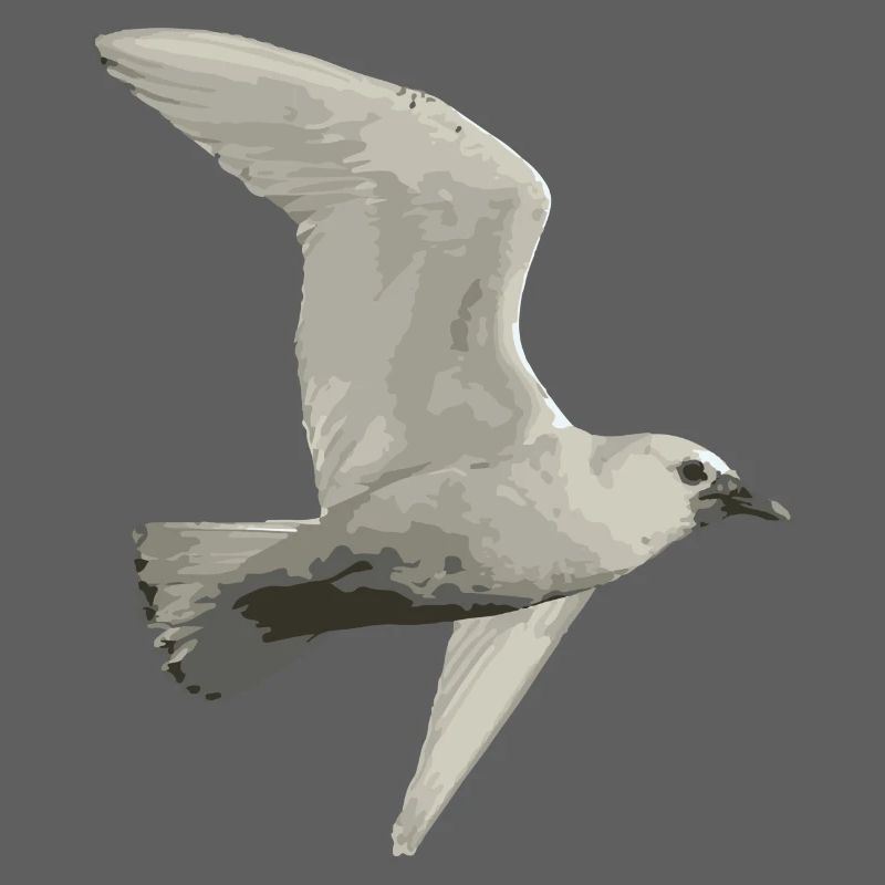 Oiseau