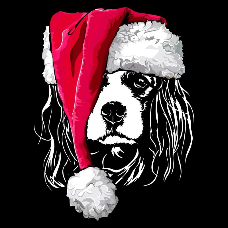 Cavalier King Charles Spaniel avec Muetze de Noël