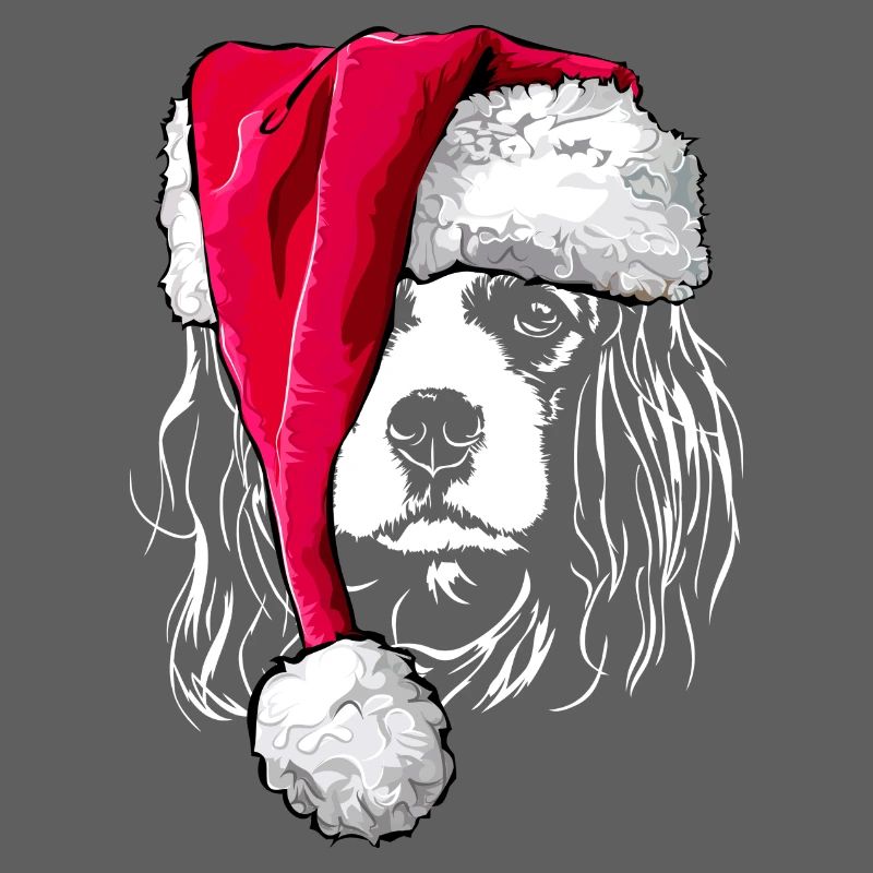 Cavalier King Charles Spaniel avec Muetze de Noël