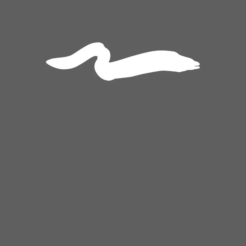 eel