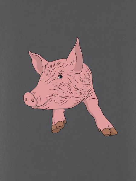 Schwein