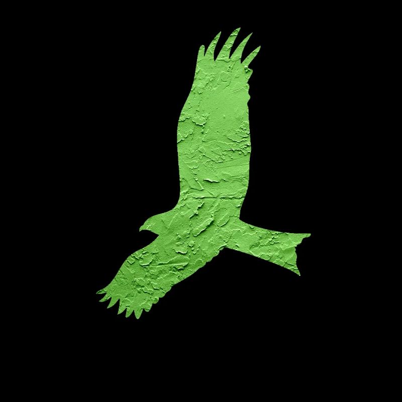 Oiseau de proie