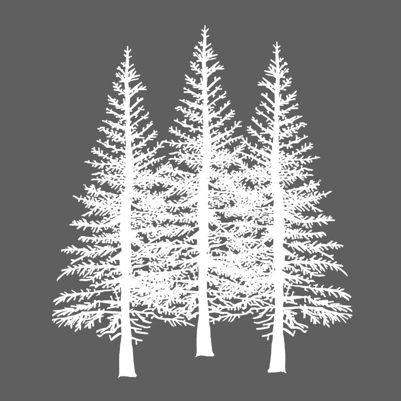 Forest tree trees nature conservation ecology environment