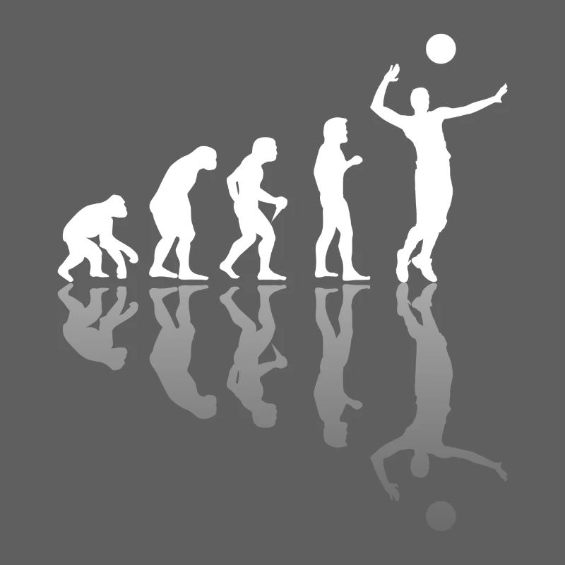 Volleyball Team Geschenk Beachvolleyball Evolution