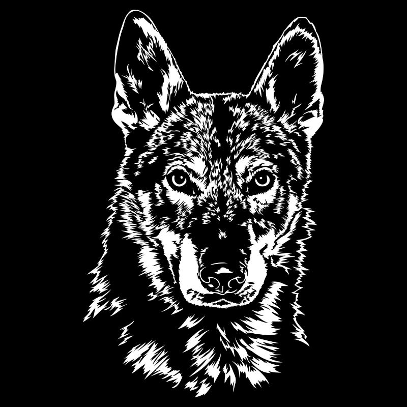 TSCHECHOSLOWAKISCHER WOLFHUND Portrait