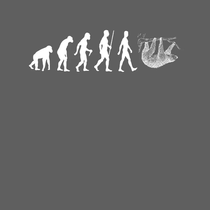 Sloth Evolution filles Kawaii Animaux cadeaux
