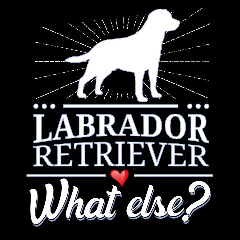 Labrador Retriever what else?