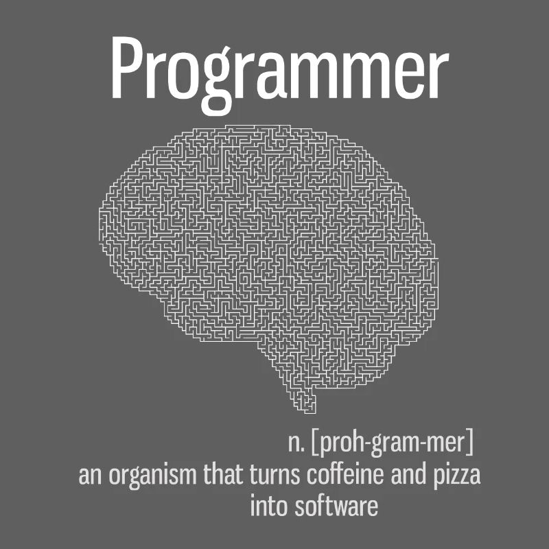 Programmeur cerveau PC ordinateur définition pizza lo