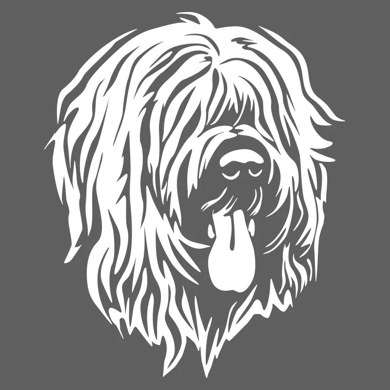 Briard Kopf "Black Edition"