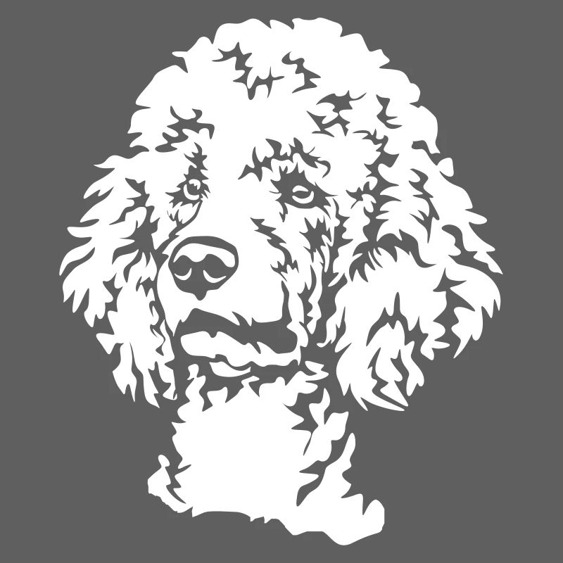 Tête de caniche « Black Edition »