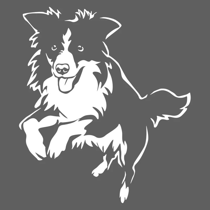 Border Collie "Black Edition"