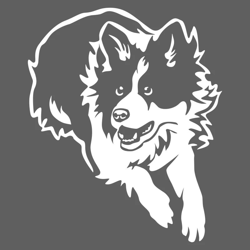 Border Collie "Black Edition"