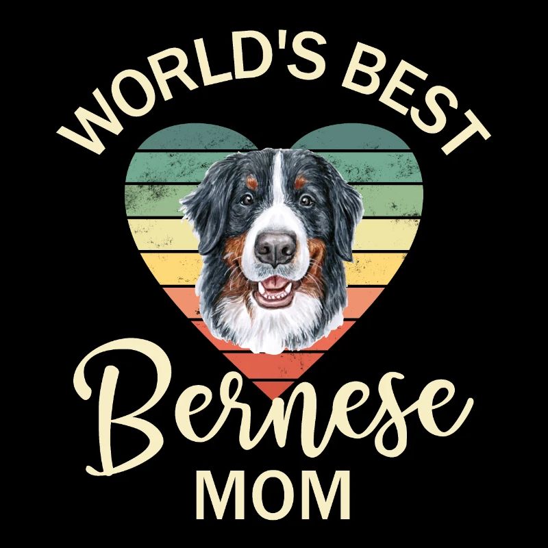 Bouvier bernois