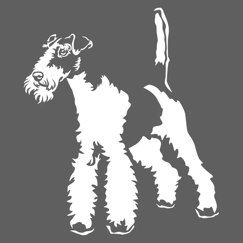 Fox Terrier « Édition Noire »