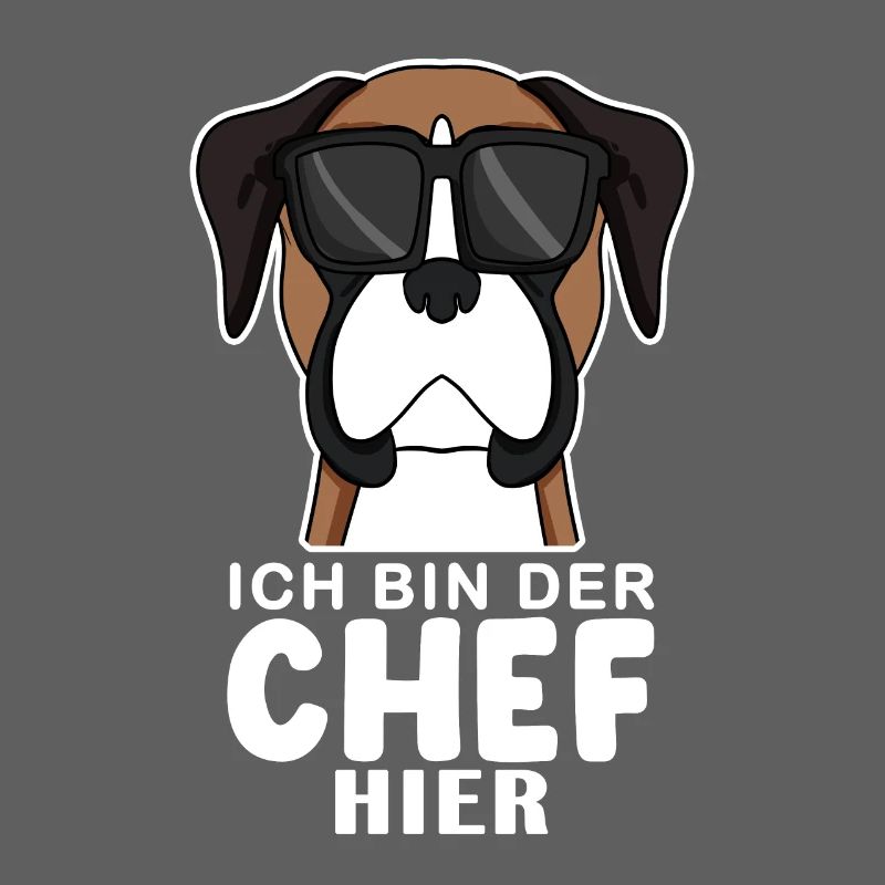 Hund Deutscher Boxer Cool Chef